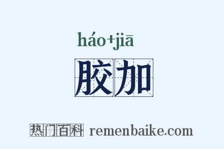 胶加是什么意思的图片